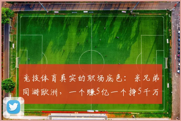 竞技体育真实的职场底色:亲兄弟同游欧洲,一个赚5亿一个挣5千万