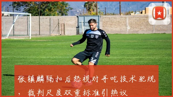 张镇麟隔扣后怒视对手吃技术犯规,裁判尺度双重标准引热议